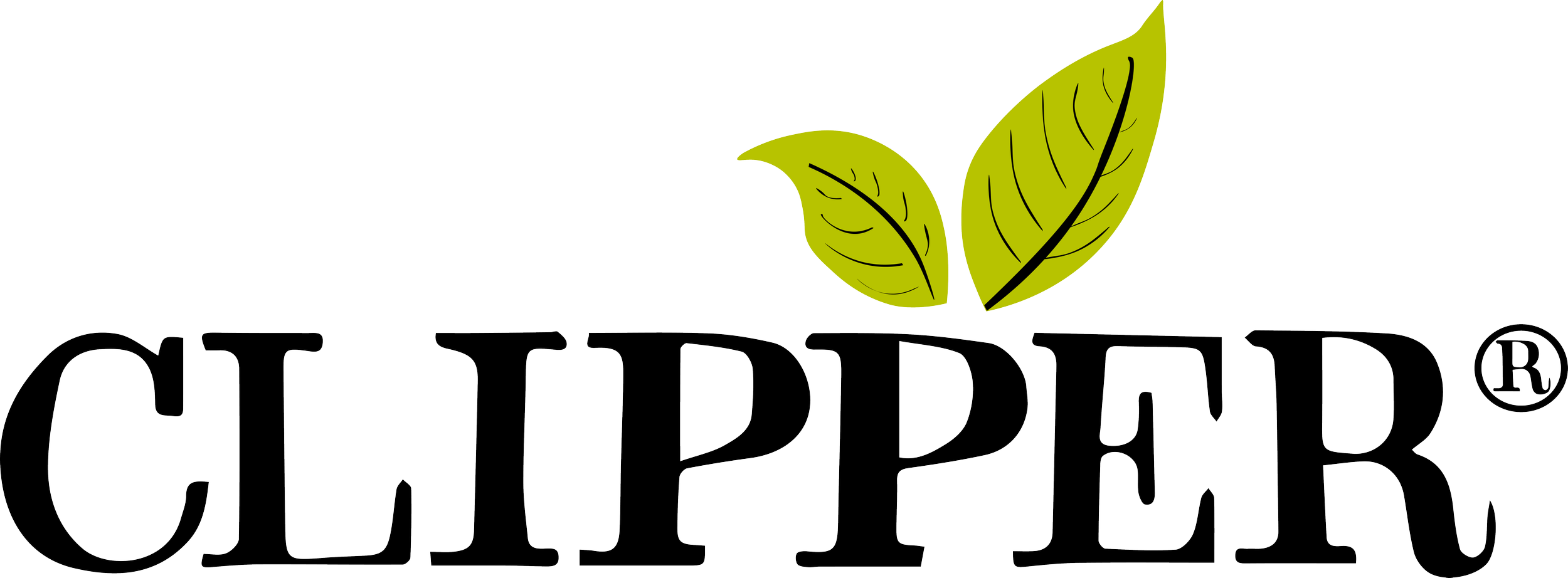 Clipper logo