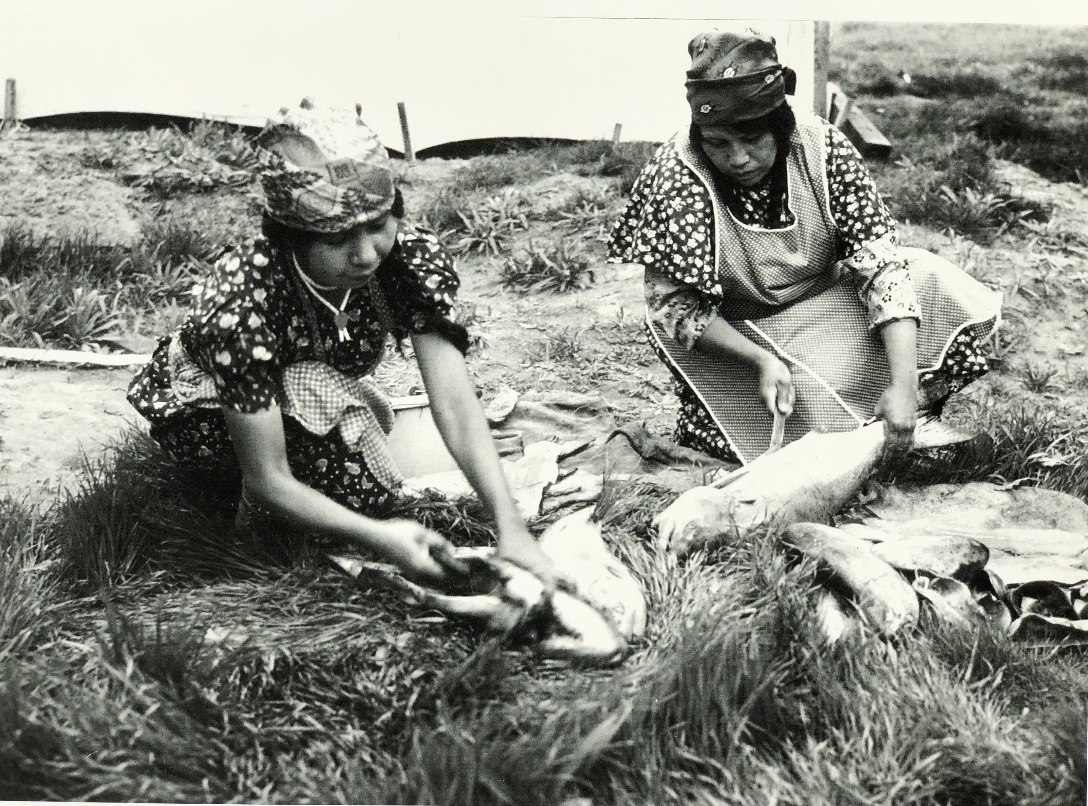 Traditional fishing methods practiced by Native families in the Pacific Northwest