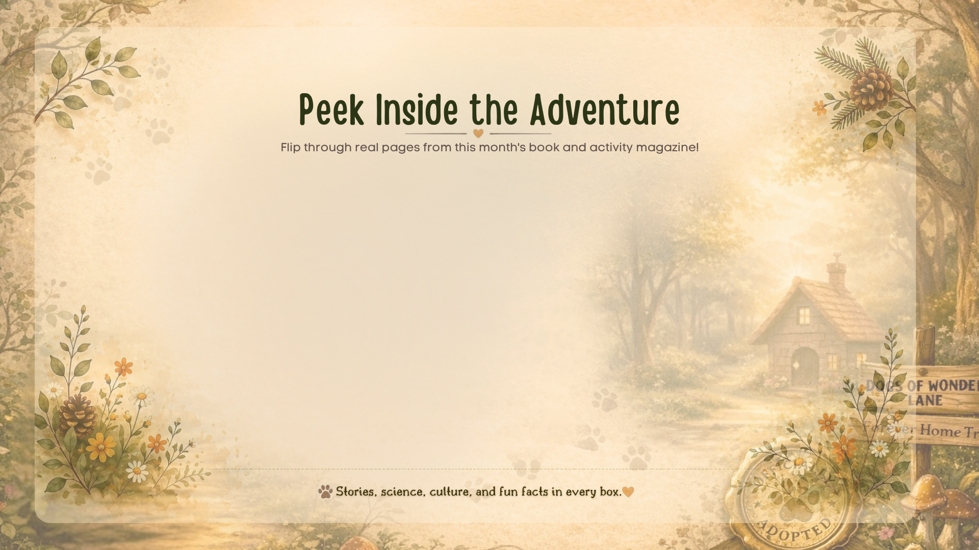 Peek Inside the Adventure