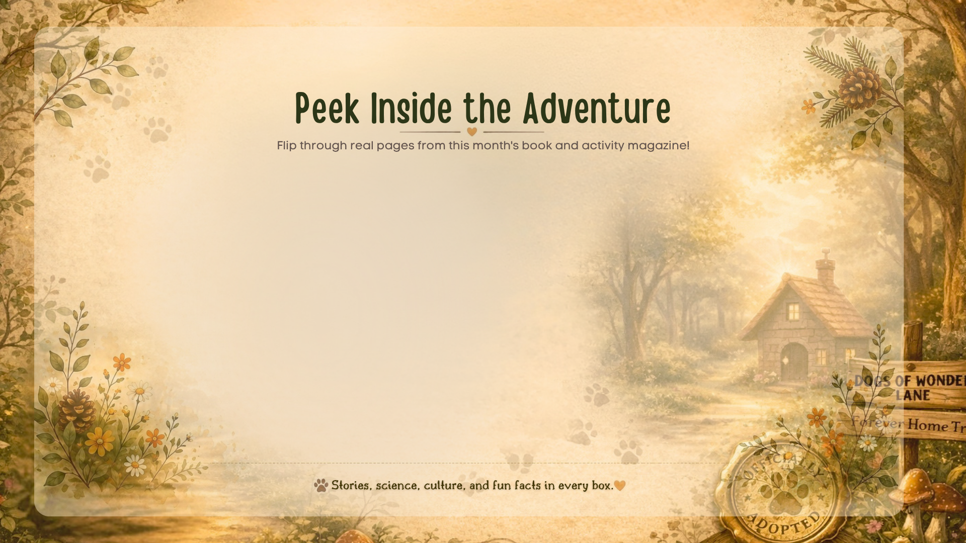 Peek Inside the Adventure