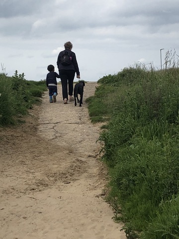 Jess the Black Labrador enjoying quality time with family