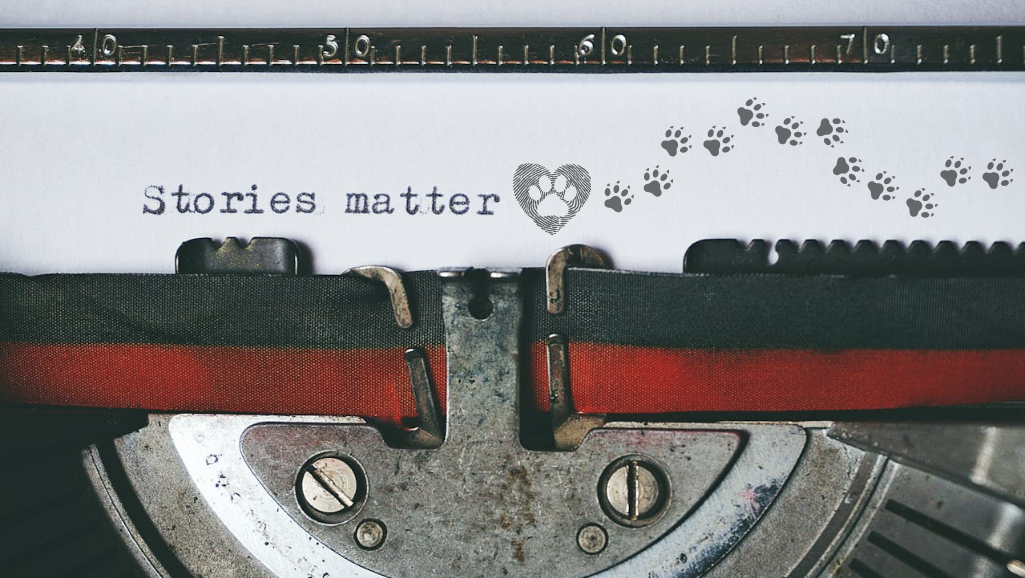 Press and news coverage