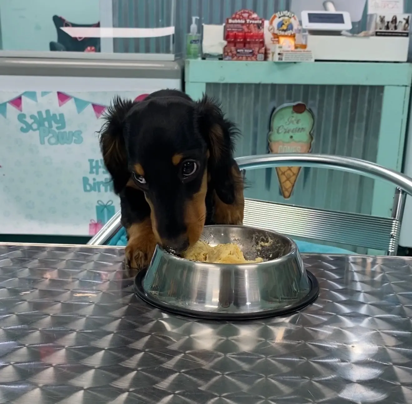 Pick your pup's plan