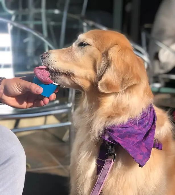 Franchise opportunity background