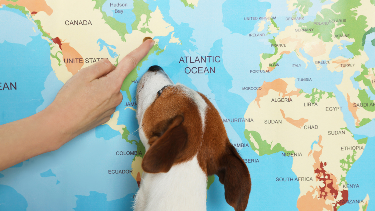 Store Locator - Find Salty Paws locations