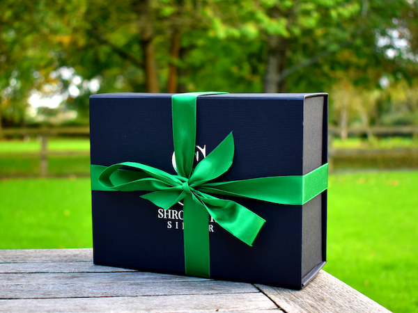 Shropshire Silver Mystery Box