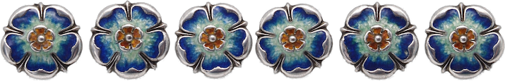 Silver Enamel Buttons 1908