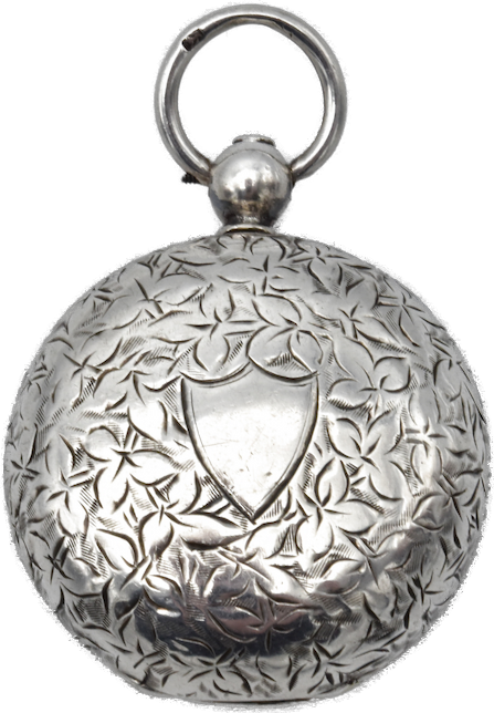 Silver Sovereign Case