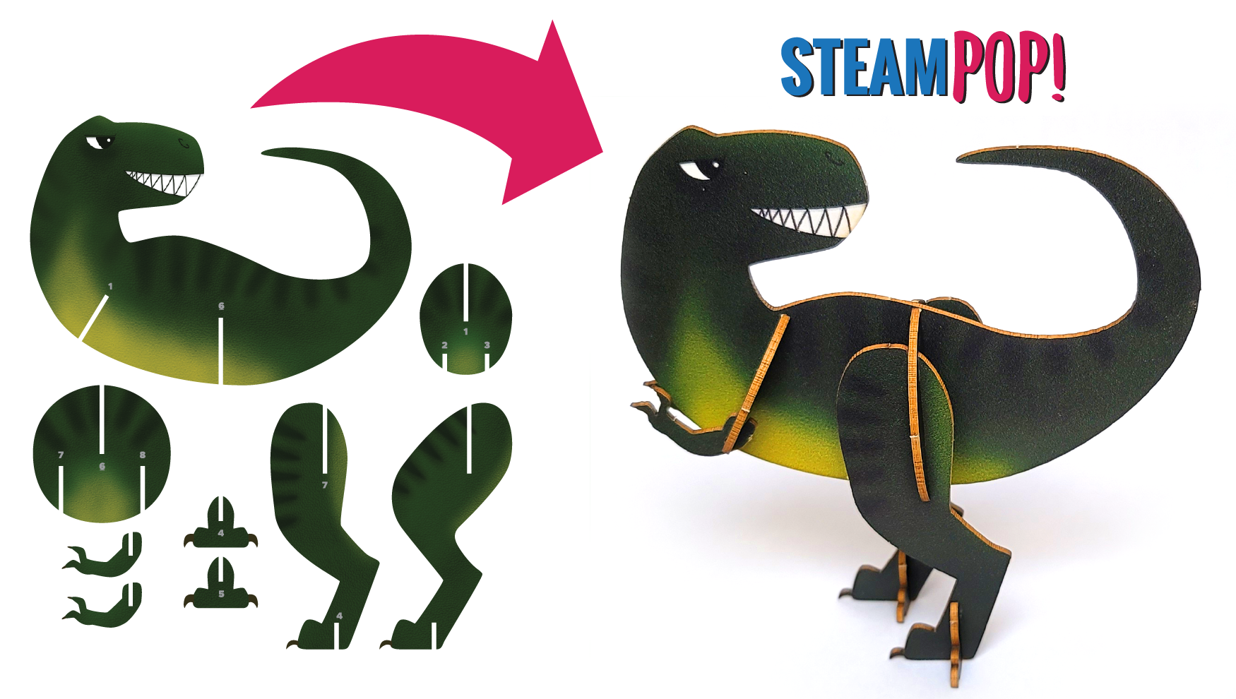 Activity Pack Contents