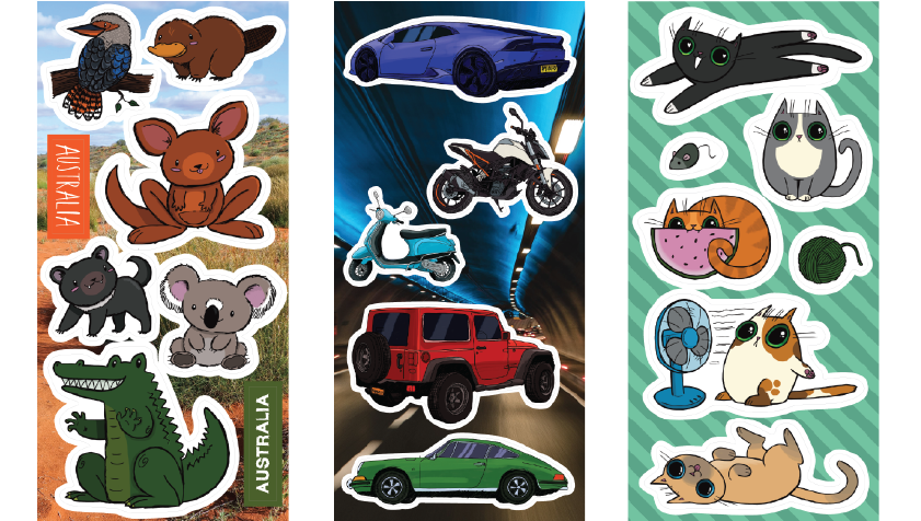 Activity Pack Contents