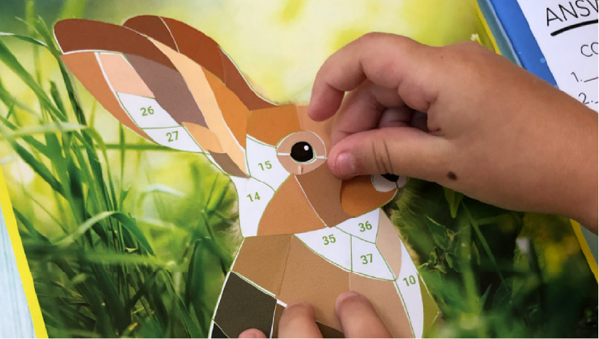 Activity Pack Contents