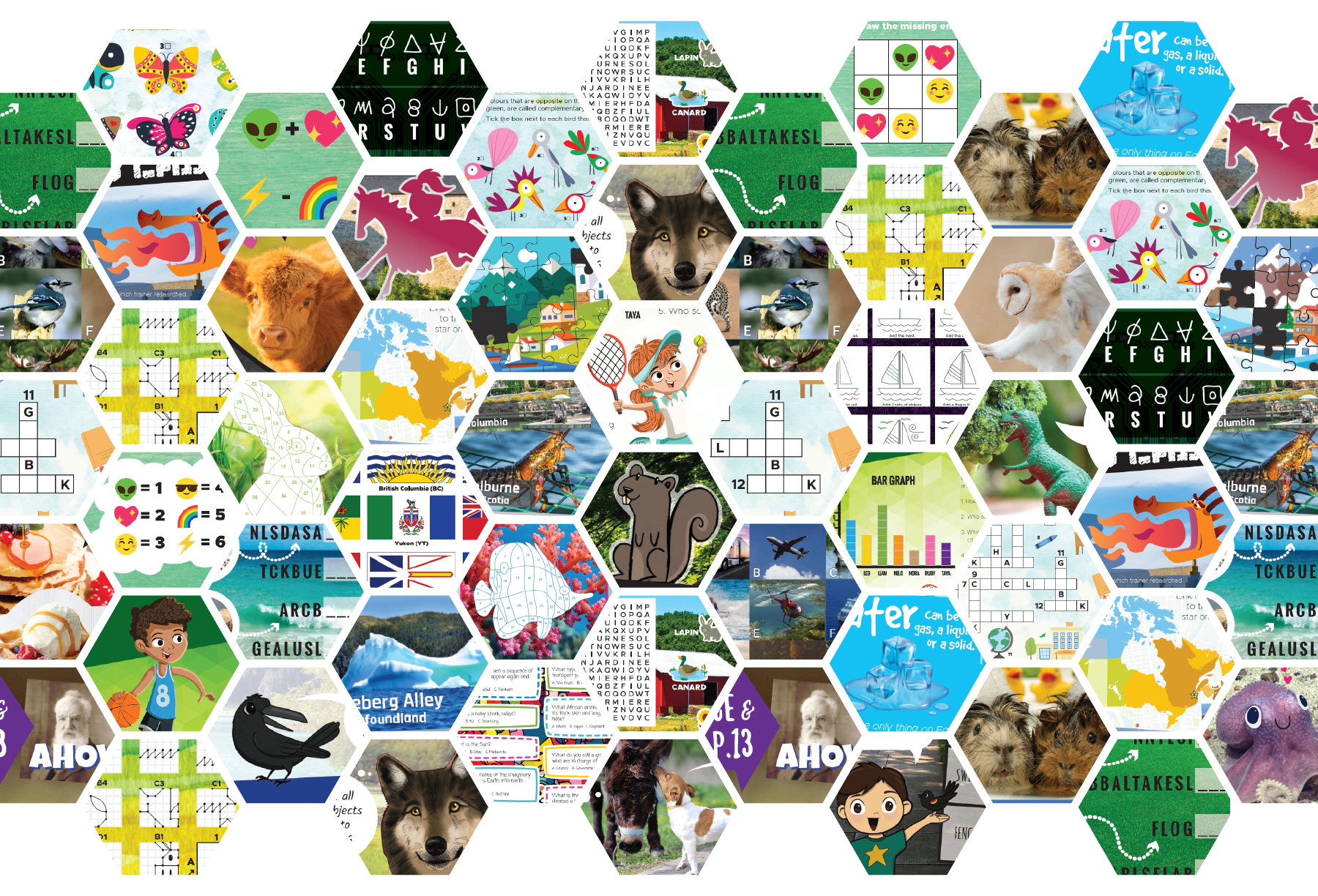 Activity Pack Background