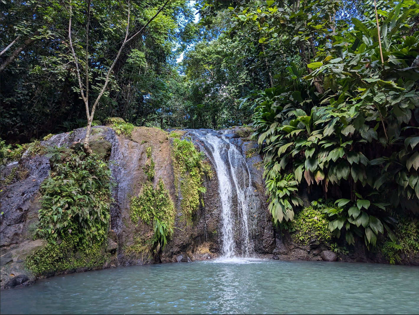 La Guadeloupe - paysage côtier