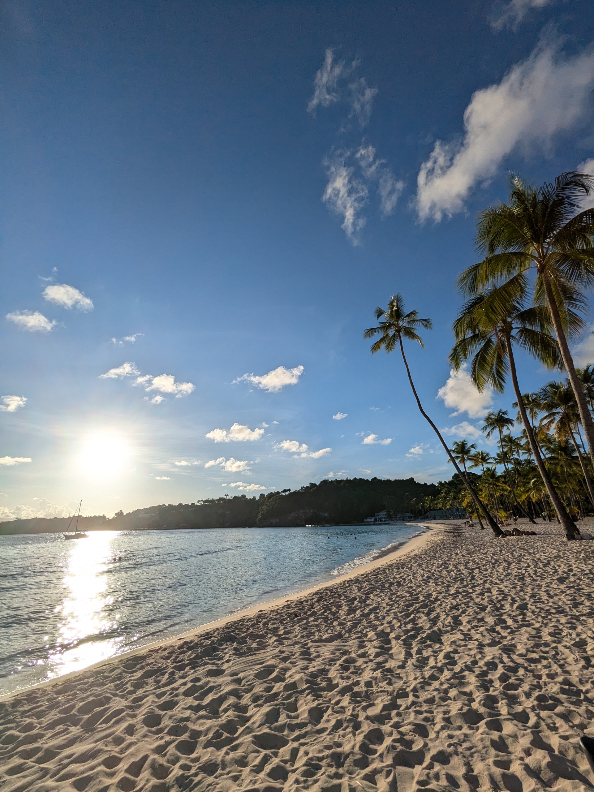Plage paradisiaque de Guadeloupe avec sable blanc et mer turquoise