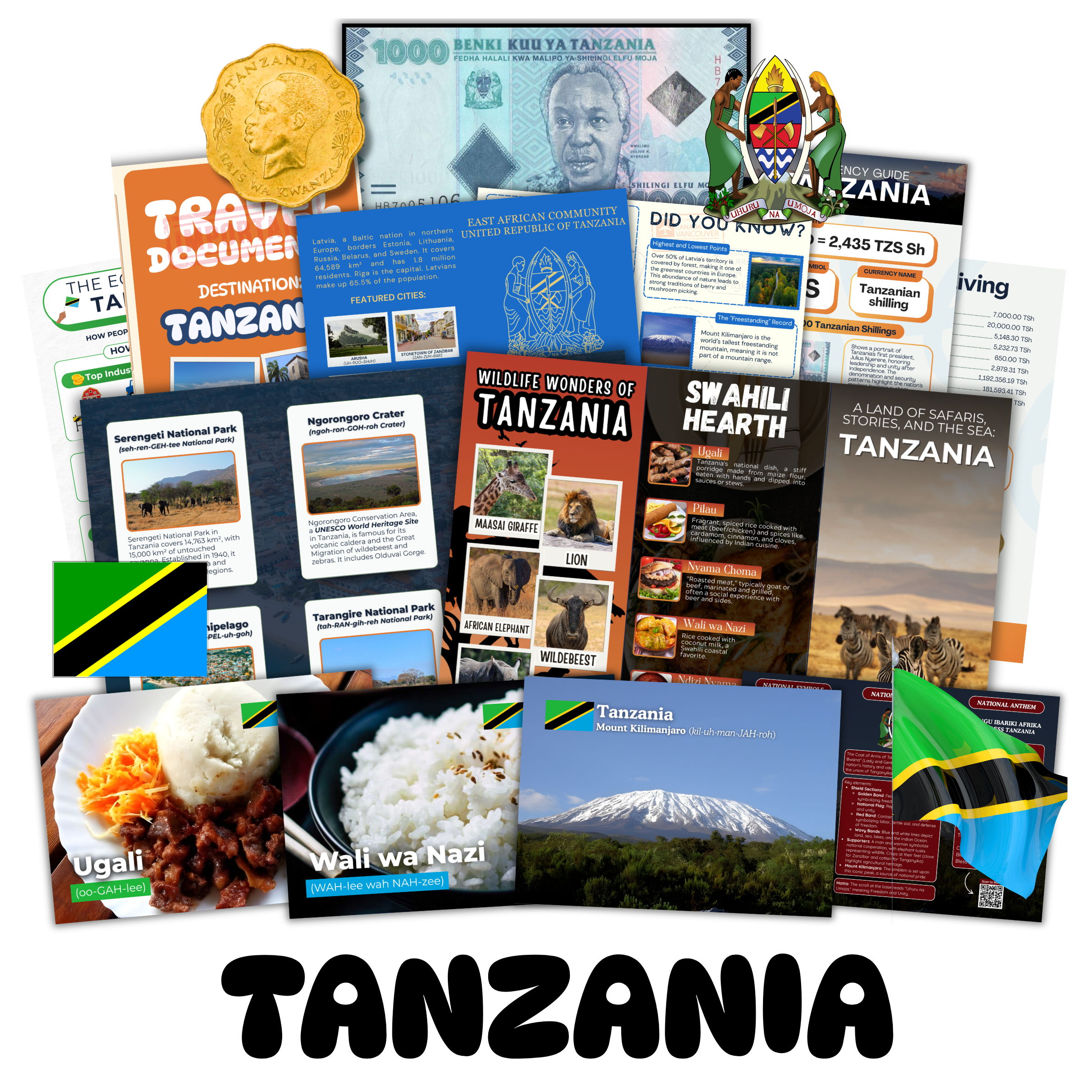 Your Adventure Begins