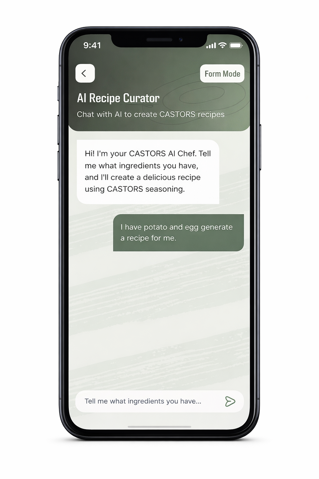 CASTORS AI Recipe Curator Screen