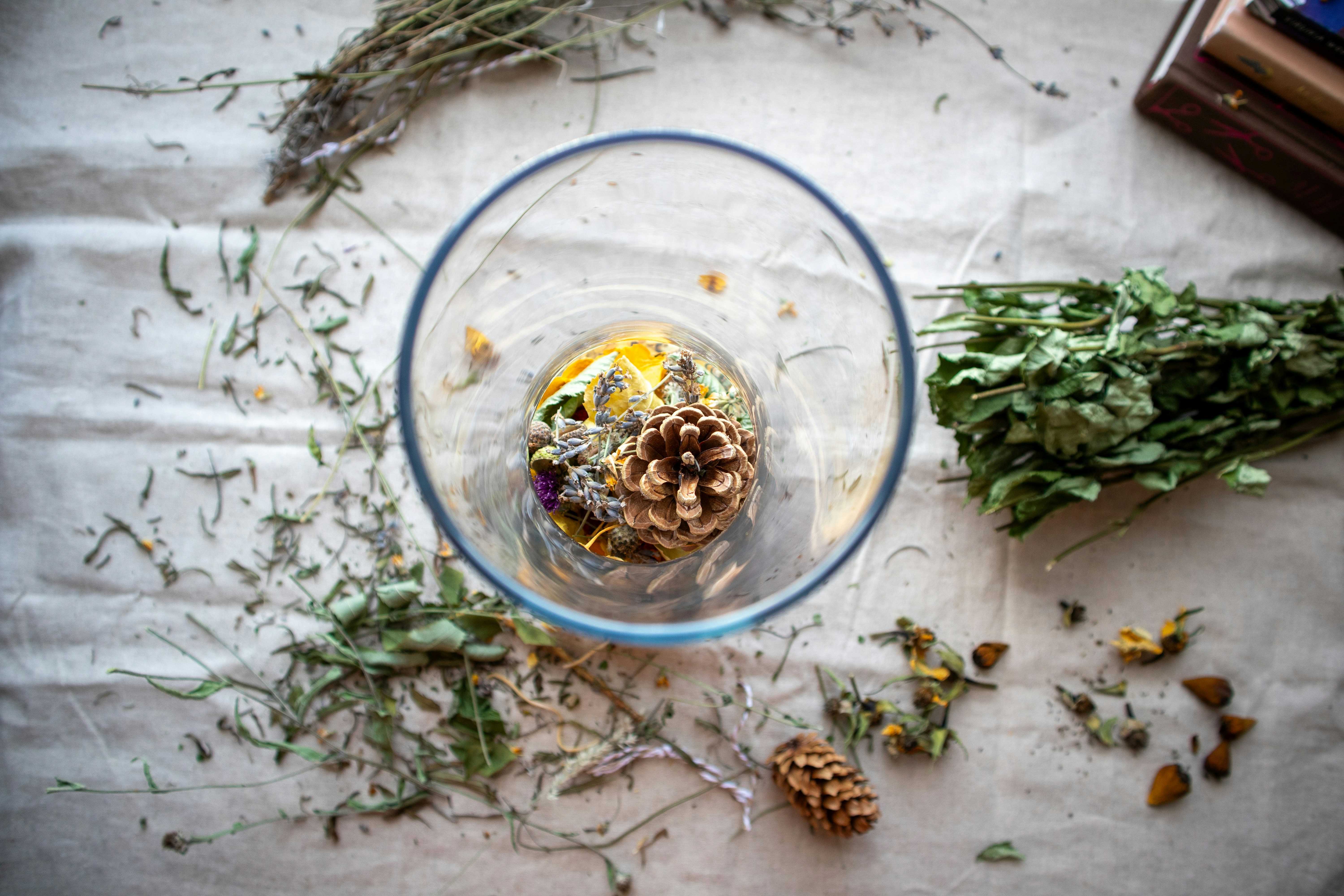 Natural botanicals and herbs used in Menoflow menopause supplements and wellness products