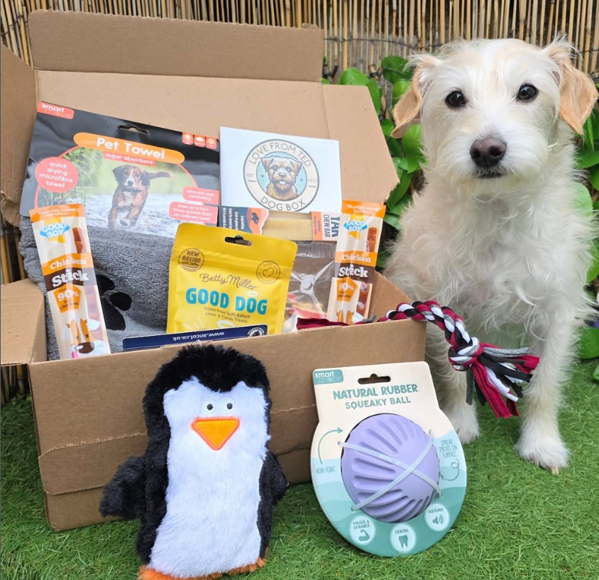 Dog with Love from Ted subscription box contents
