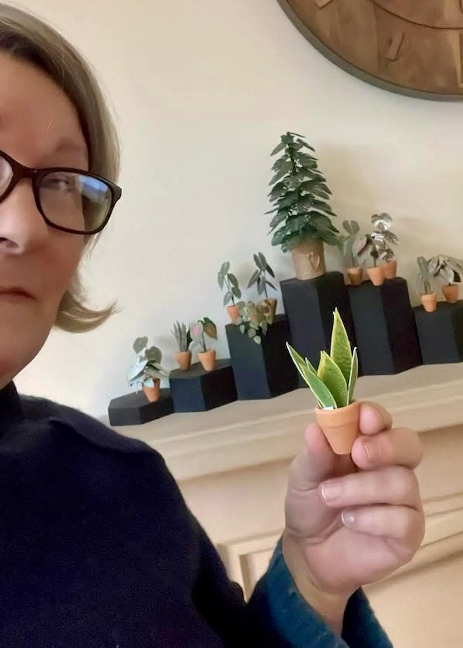 Paper plant craft 12