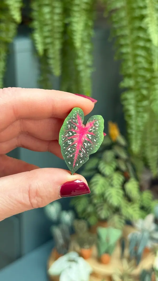 Caladium Red Flash pin
