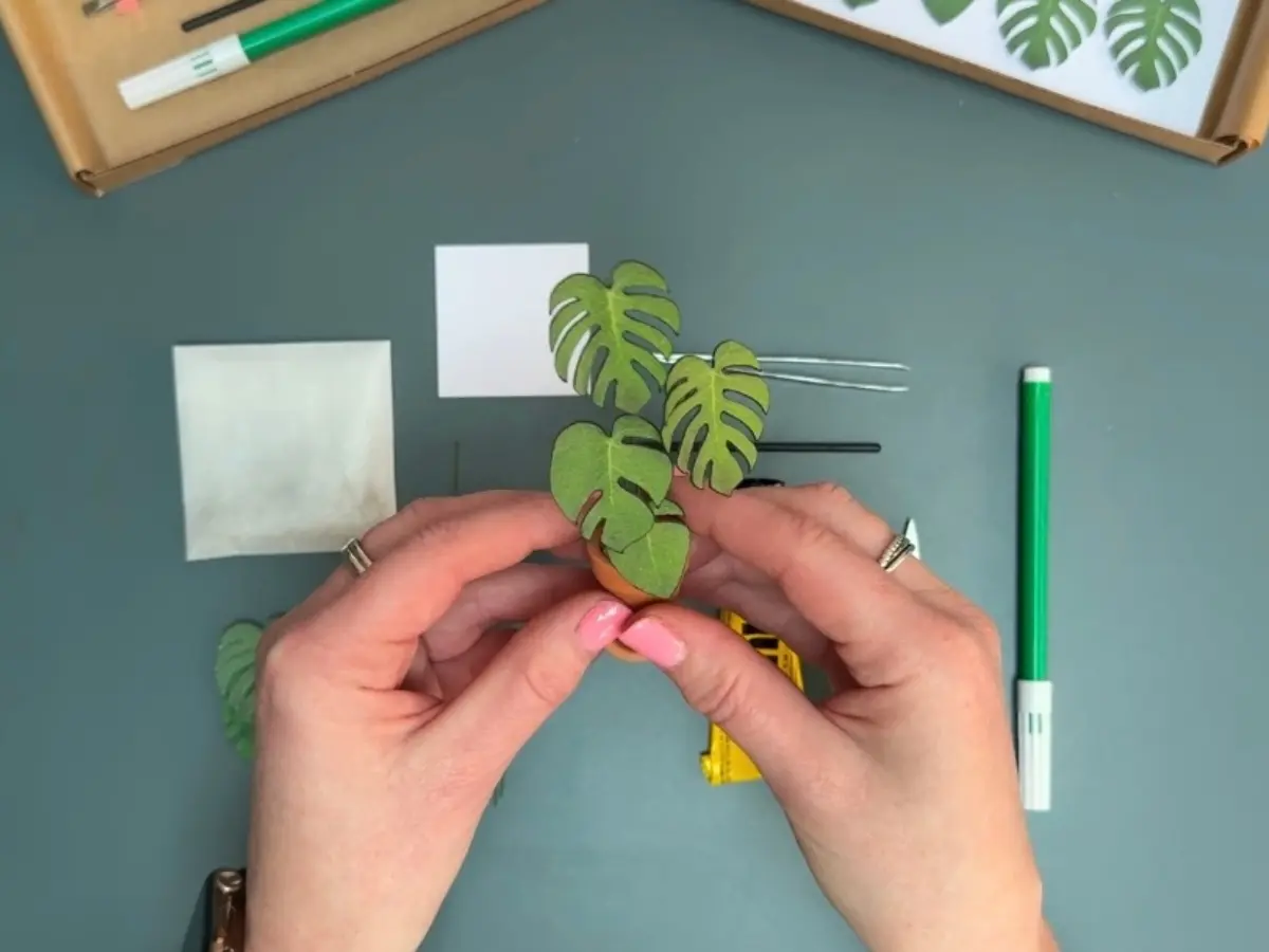 Making a miniature paper Monstera