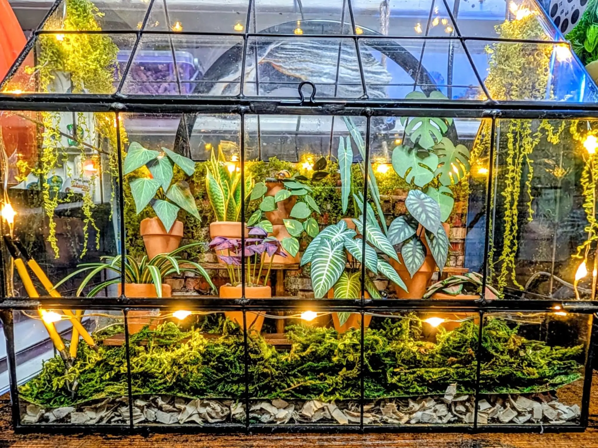 Nicole's Jungle paper plant collection photo 4