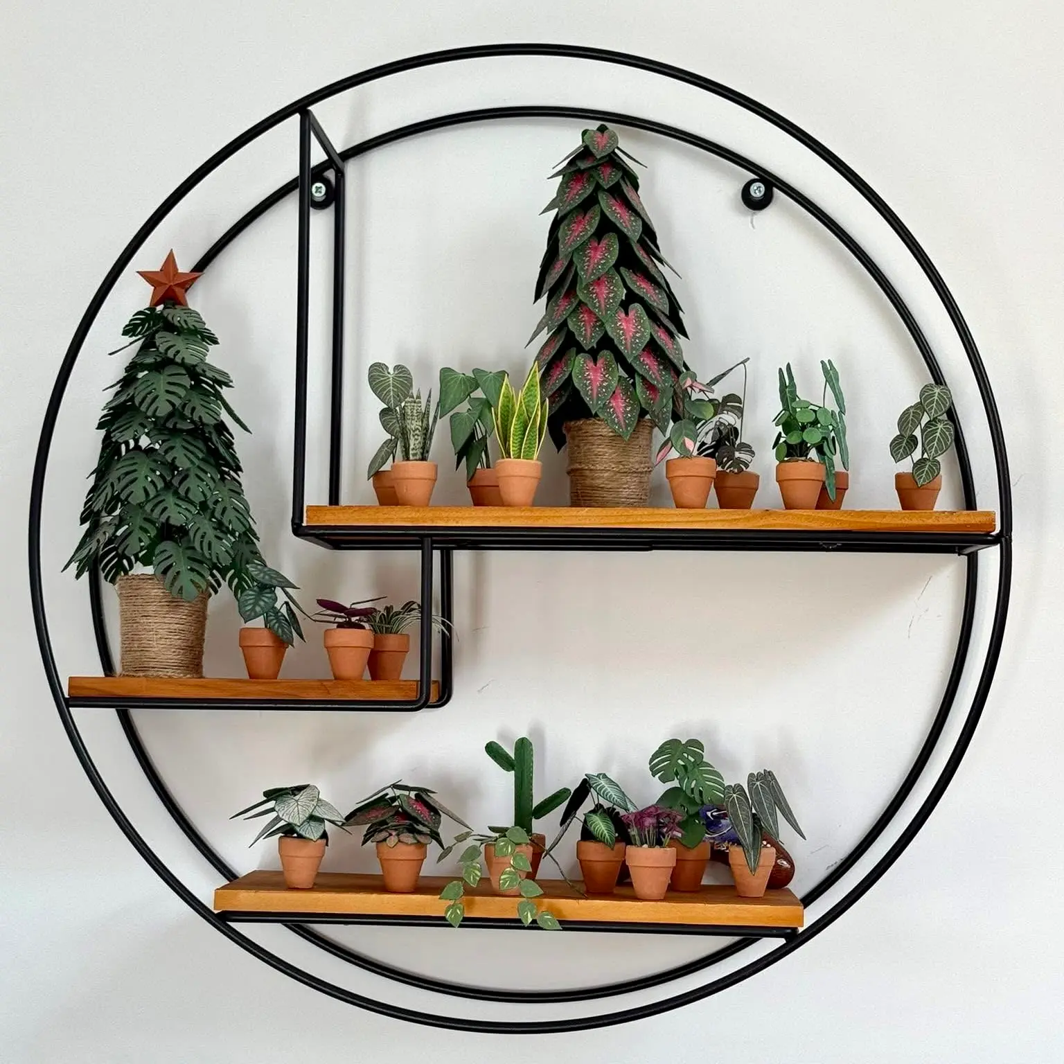Nicole's Jungle paper plant collection photo 6