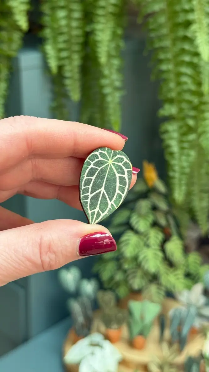 Anthurium Crystallinum pin