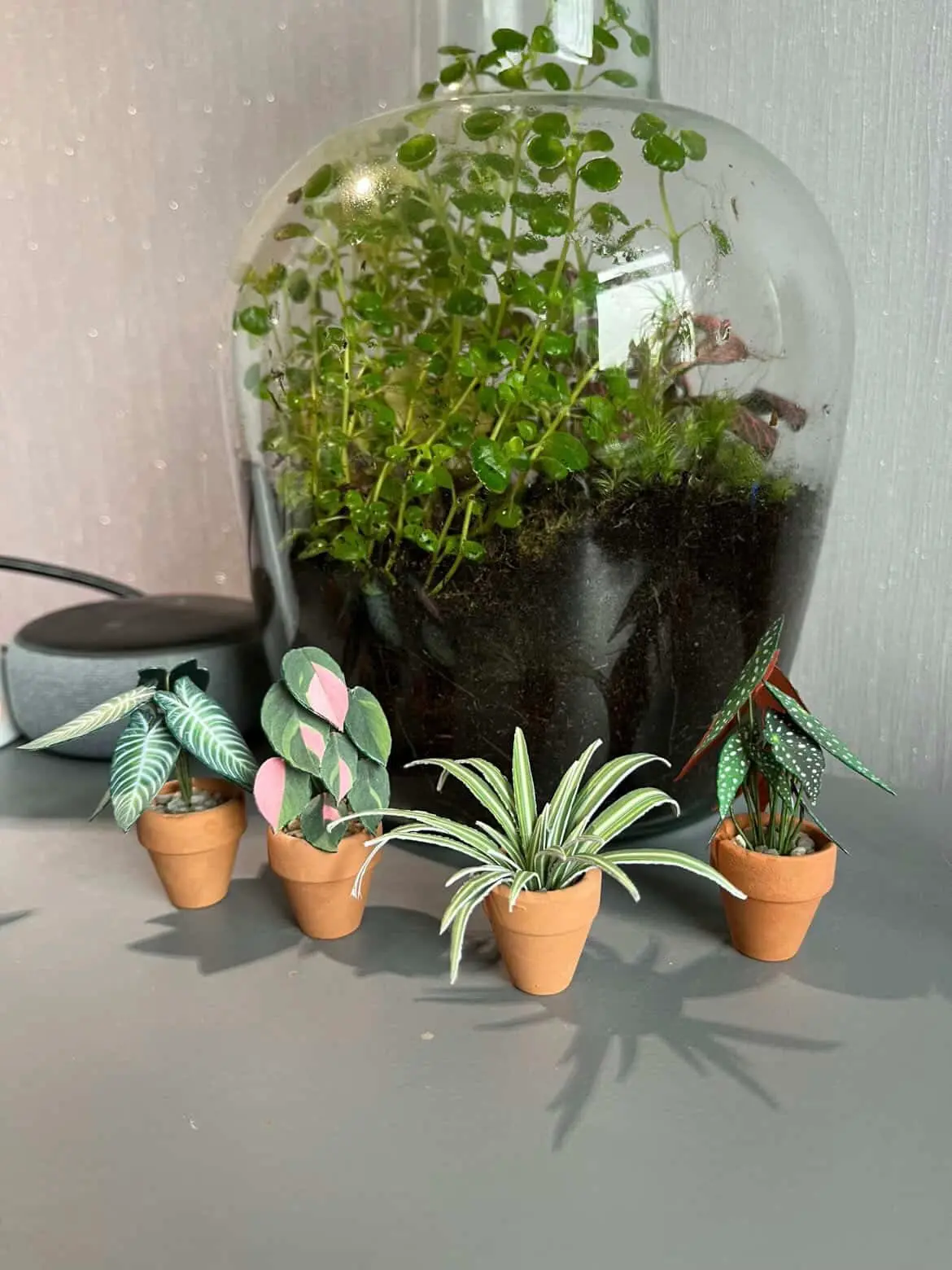 Nicole's Jungle paper plant collection photo 17