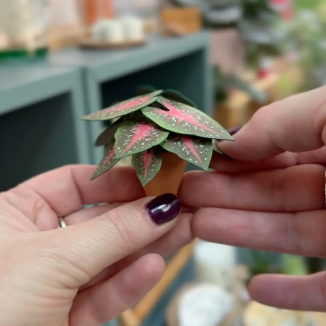 Miniature paper Red Flash plant in a tiny terracotta pot