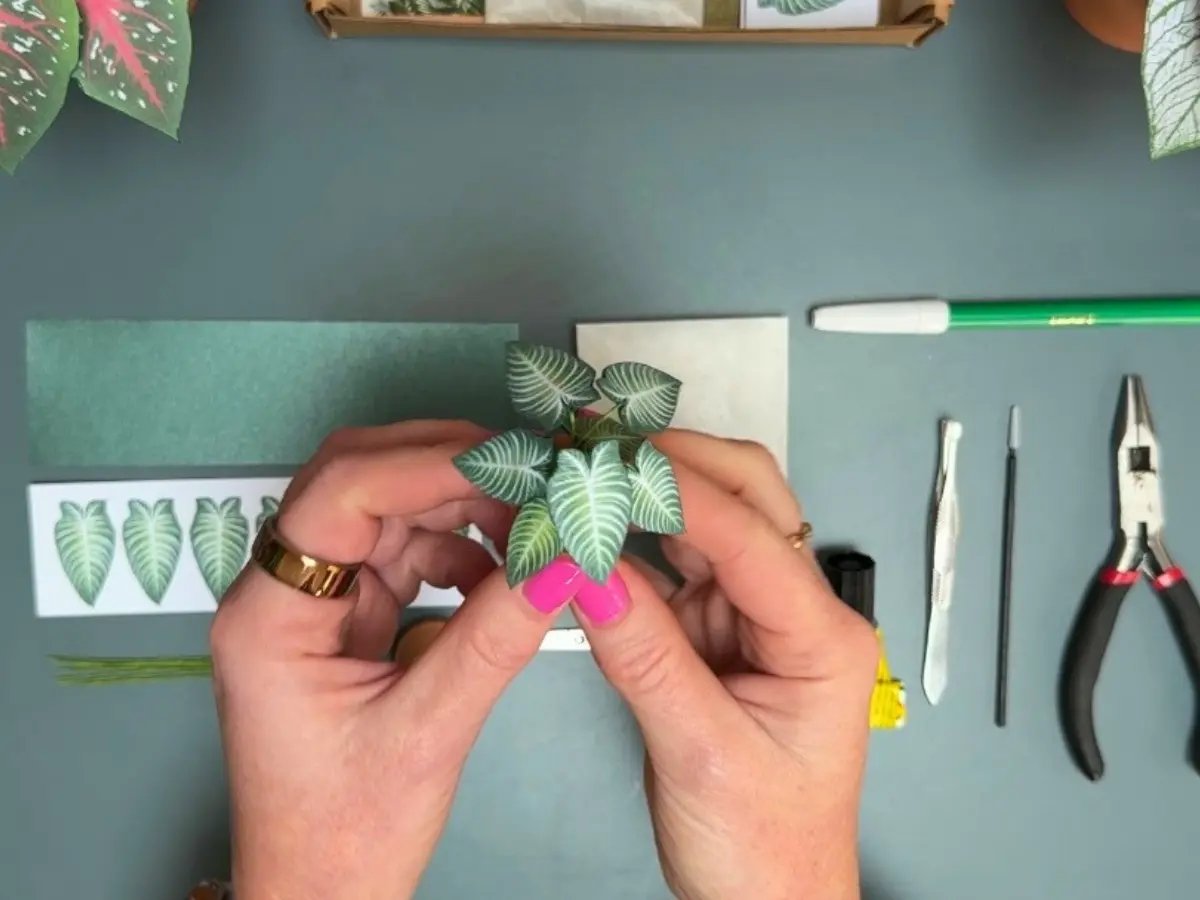 Miniature paper Xanthosoma plant by Nicole’s Jungle