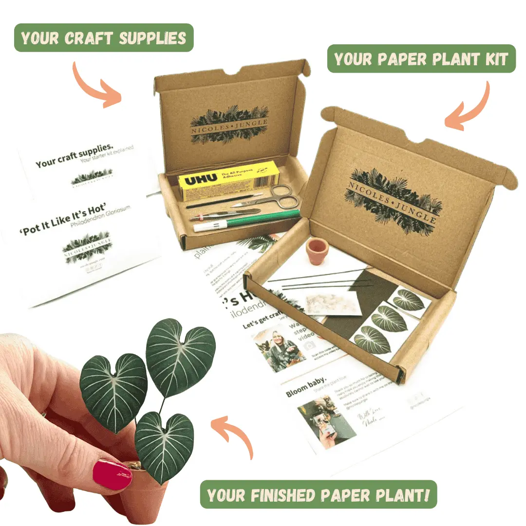 Paper plant craft kit