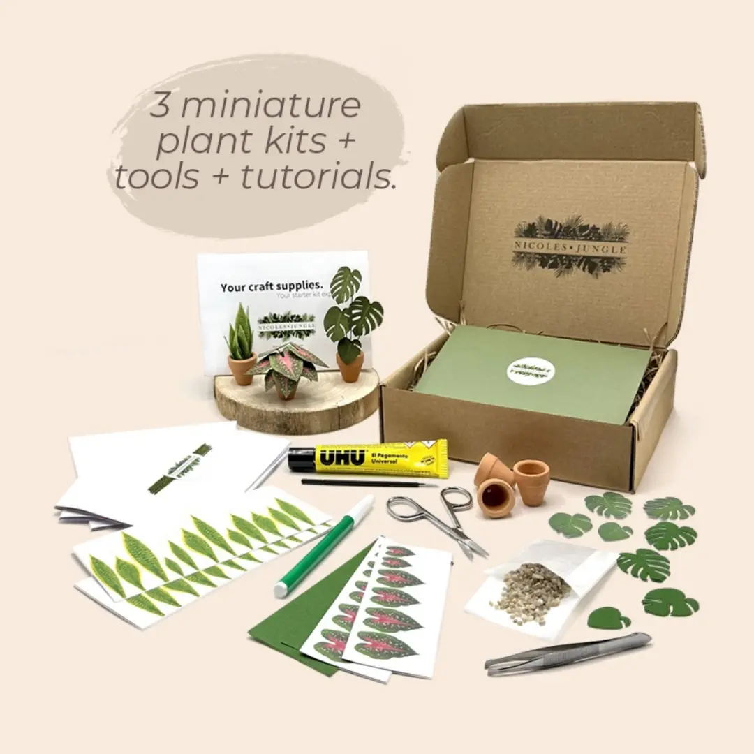 Paper Plant Starter Kit contents