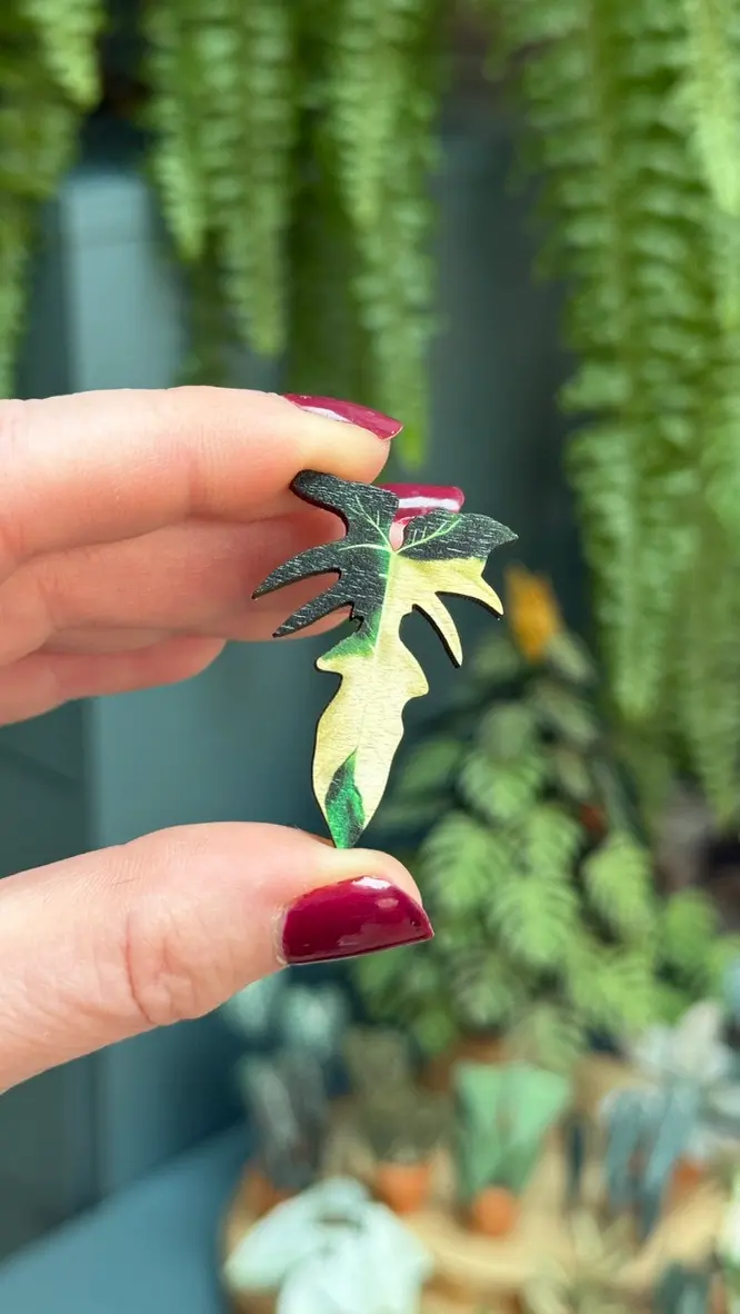 Philodendron Golden Dragon pin