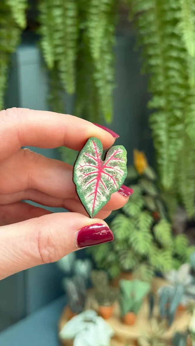 Caladium Rosebud pin