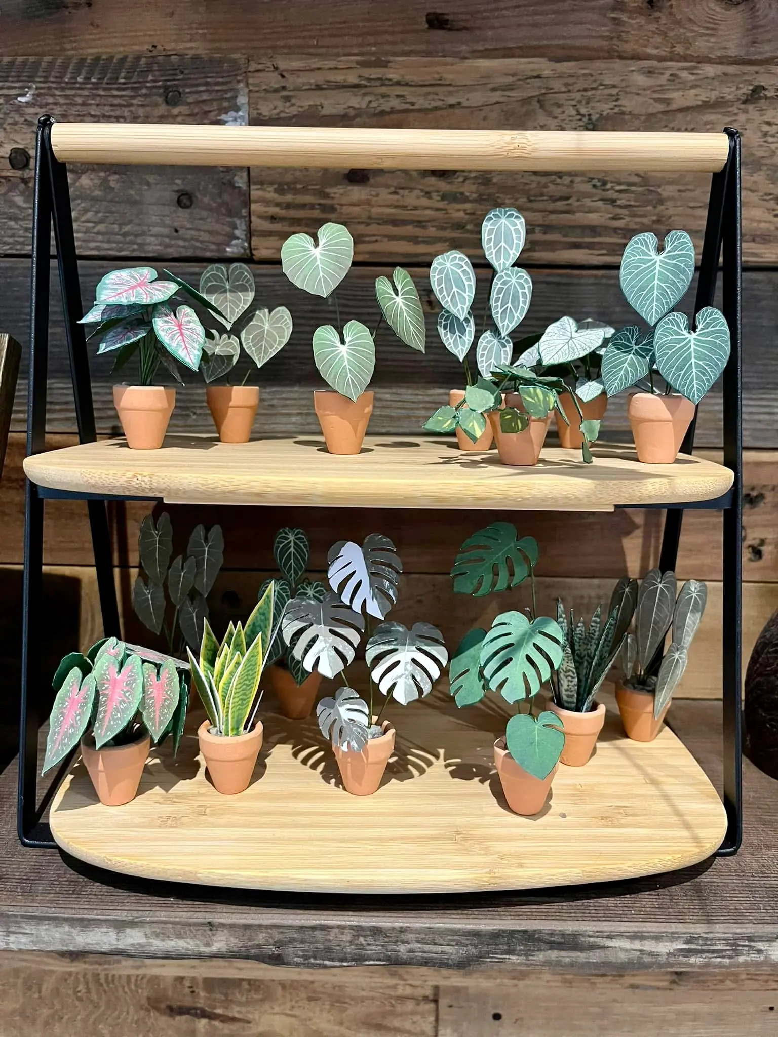 Nicole's Jungle paper plant collection photo 14