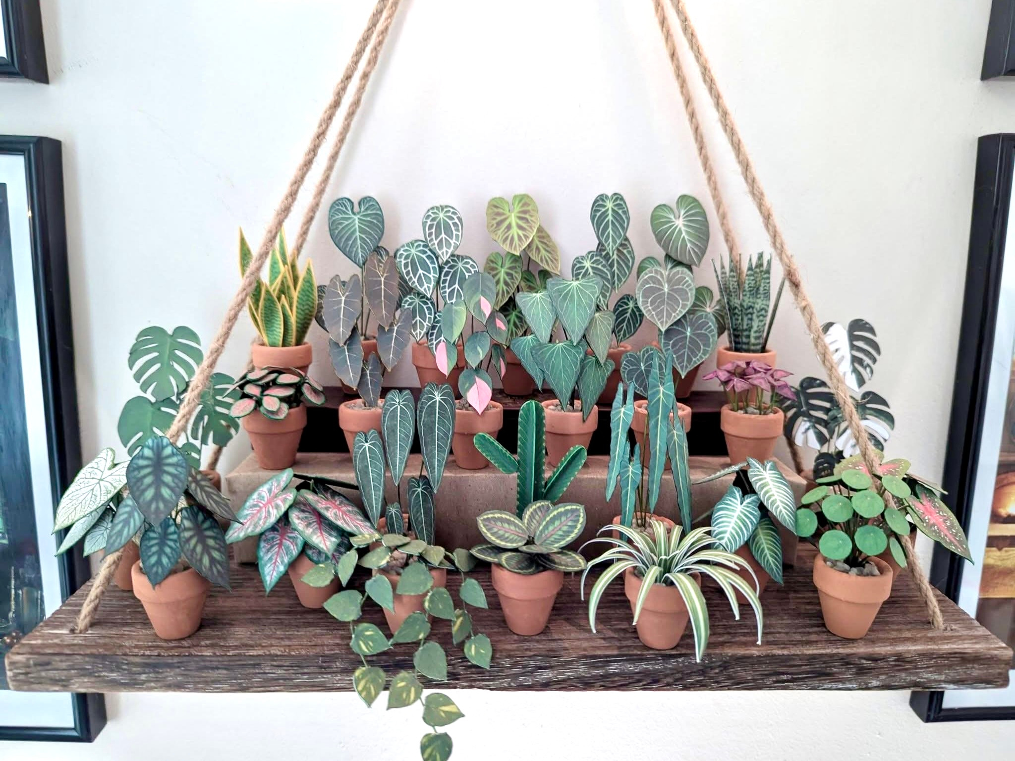 Nicole's Jungle paper plant collection photo 11