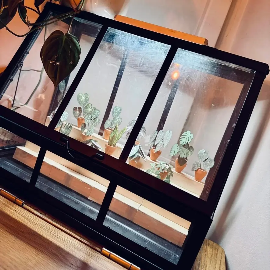Nicole's Jungle paper plant collection photo 16