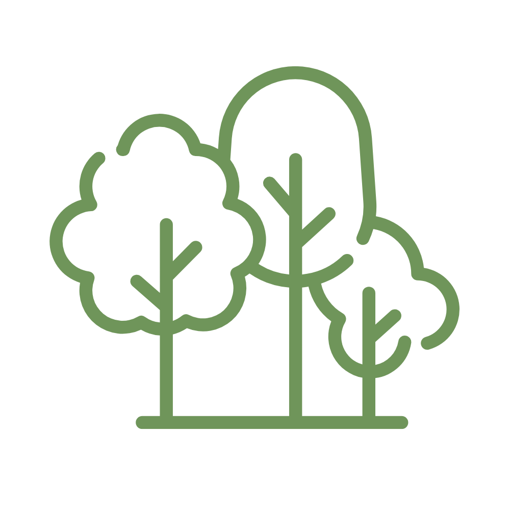 FSC certified paper icon