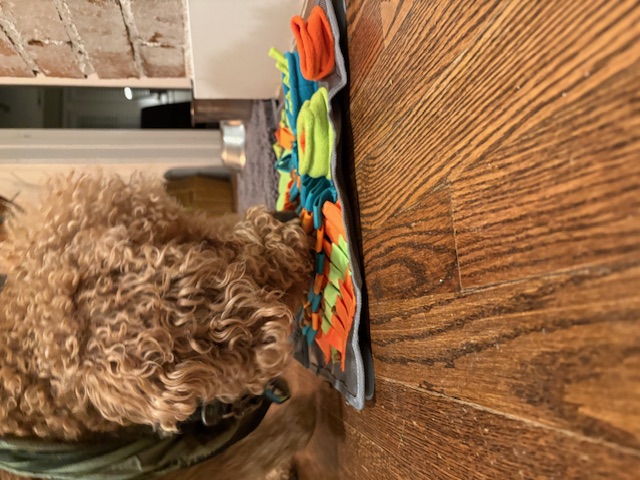 Winston, happy customer