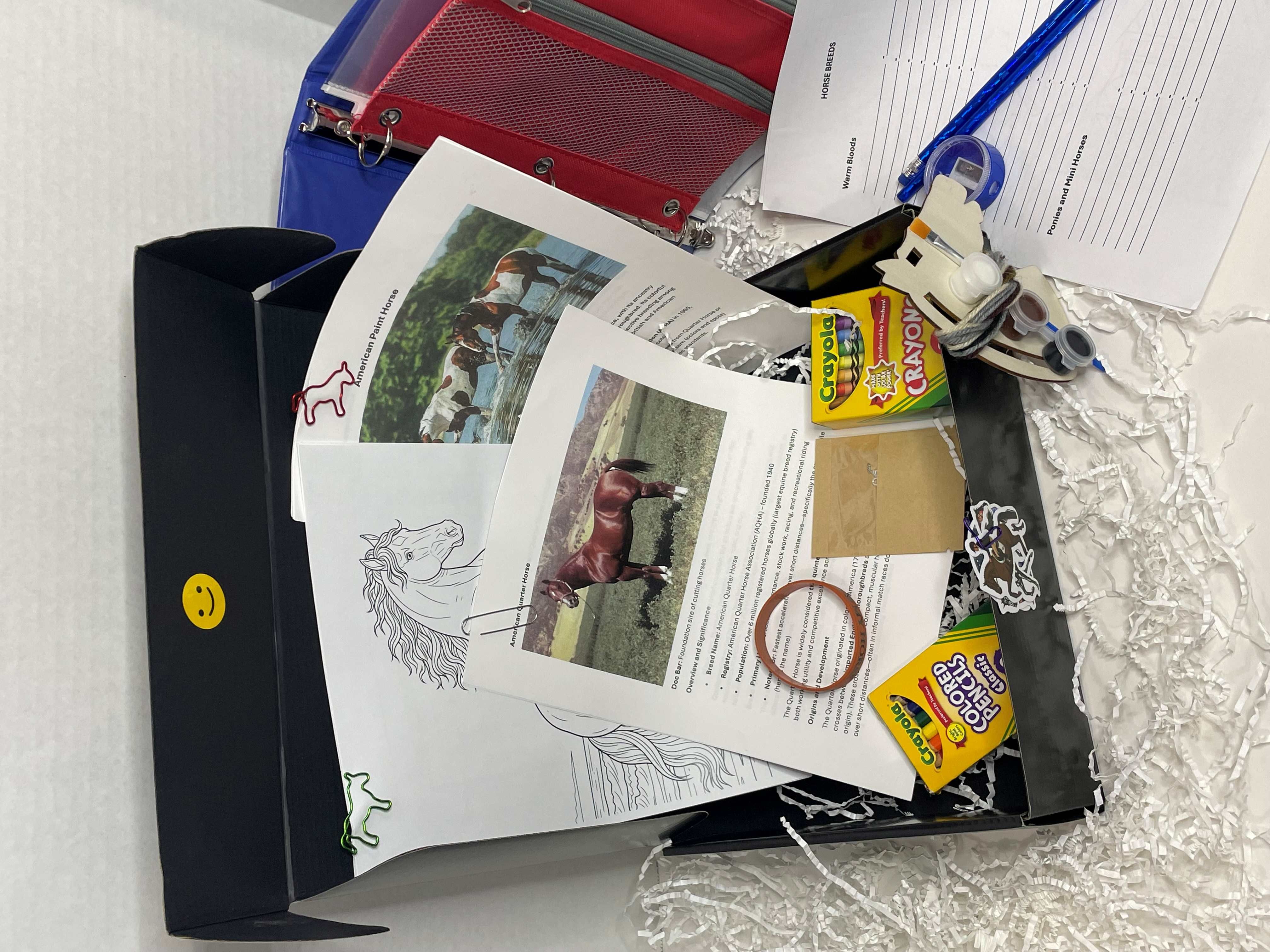 Pony Quest Club lessons and learning materials