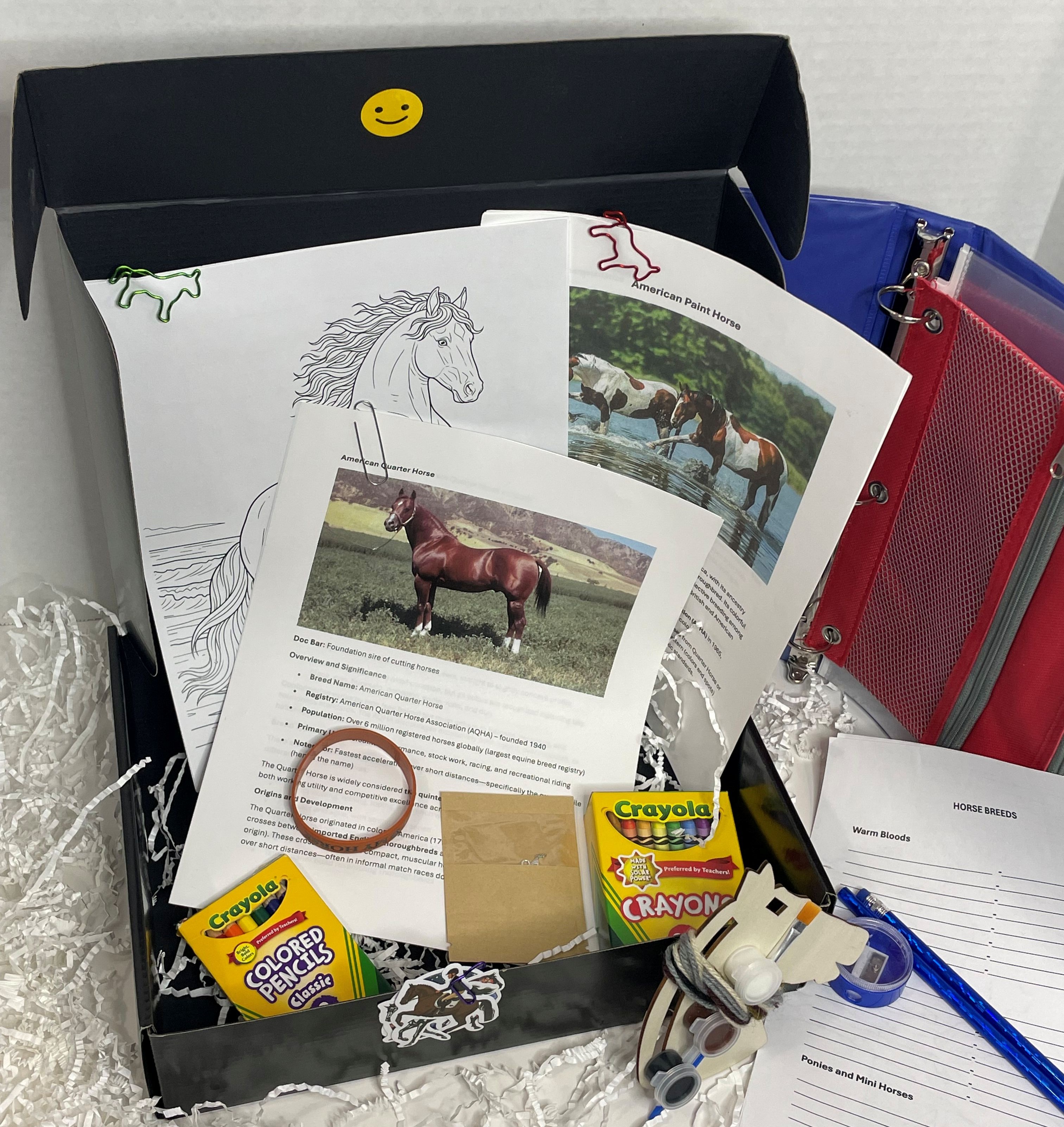 Pony Quest Club 1 month subscription box