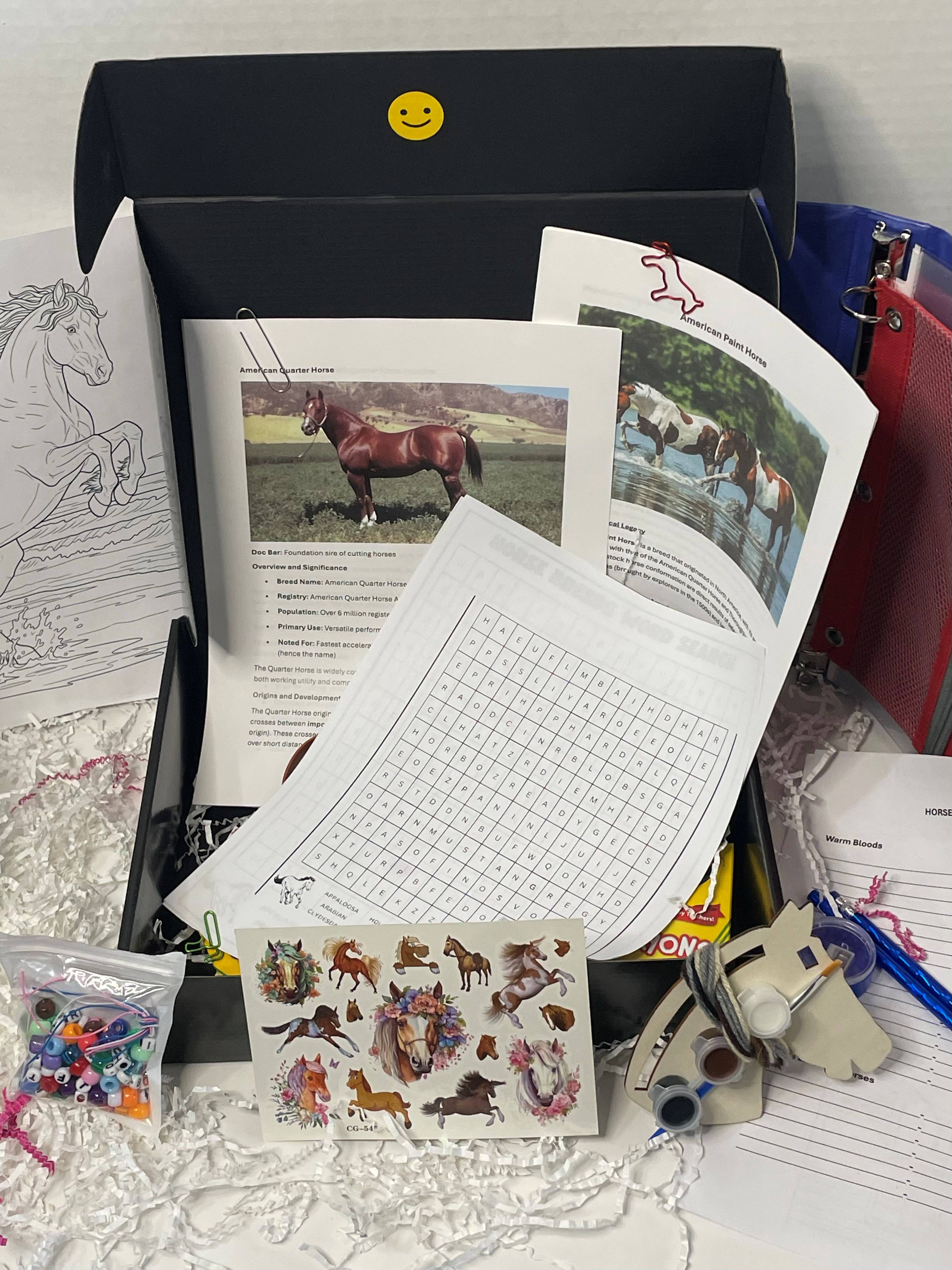 Pony Quest Club equestrian adventure set box