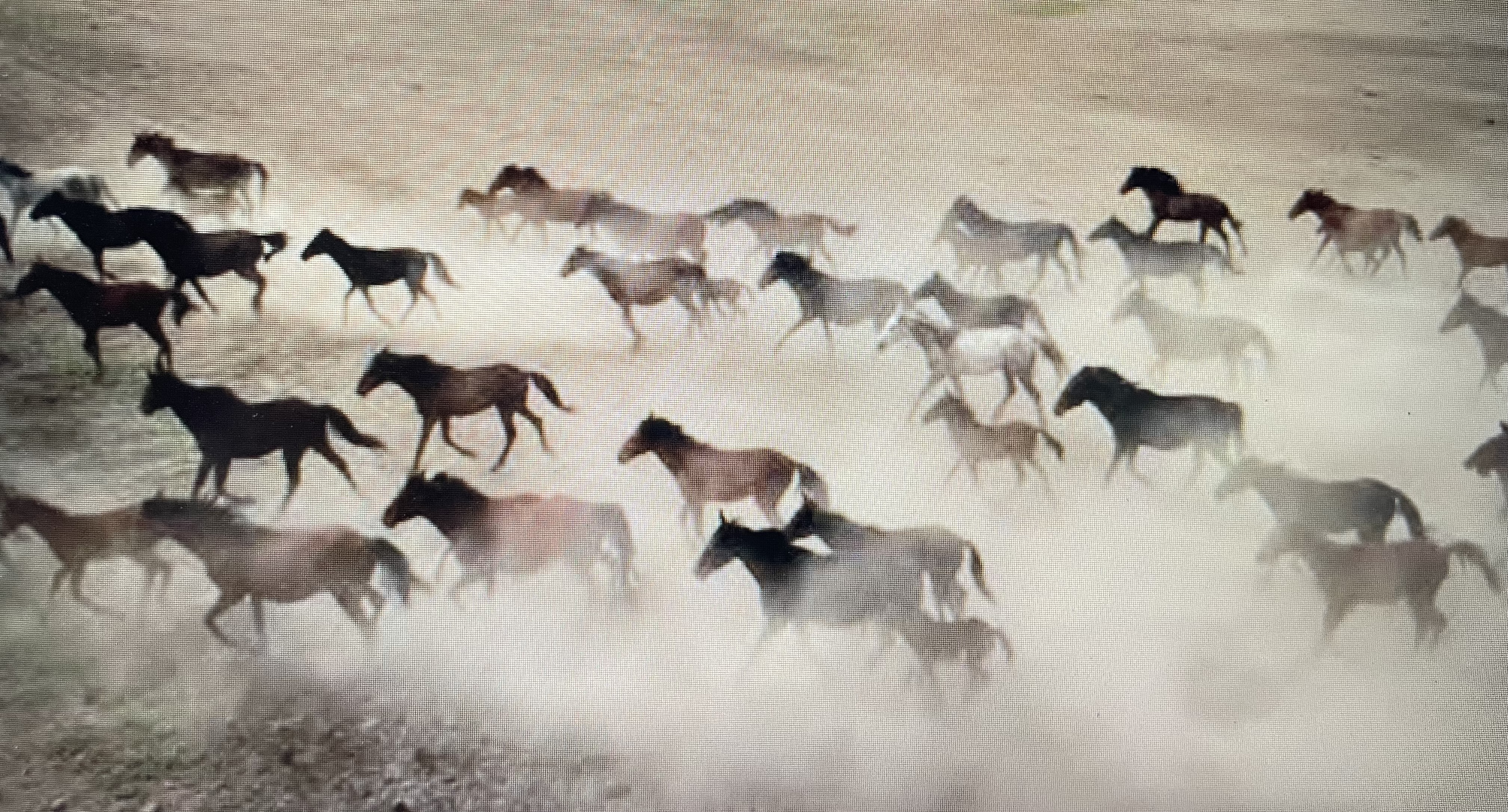 Horse galloping and kicking up dust