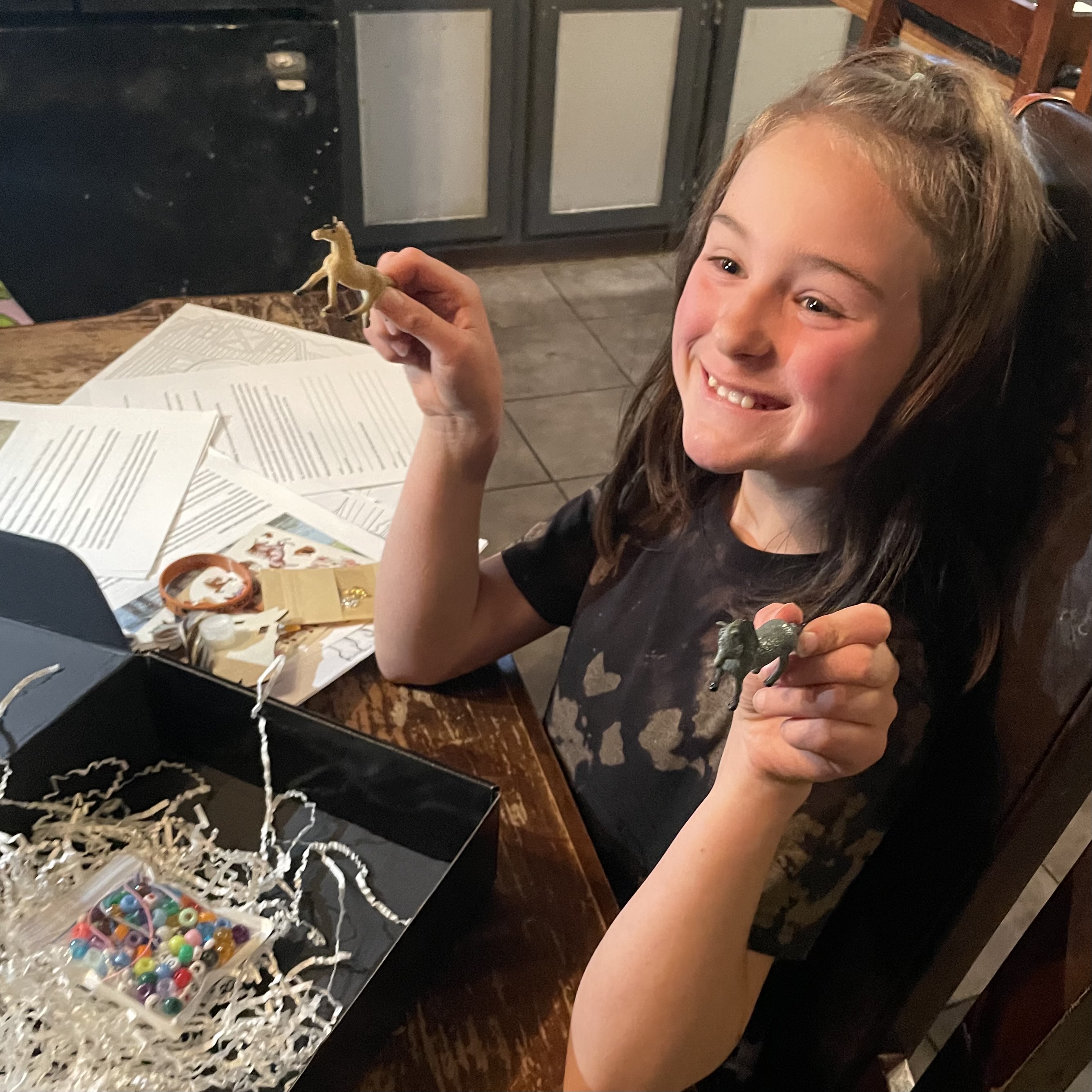 Pony Quest Club box contents spread out with horse-themed activities