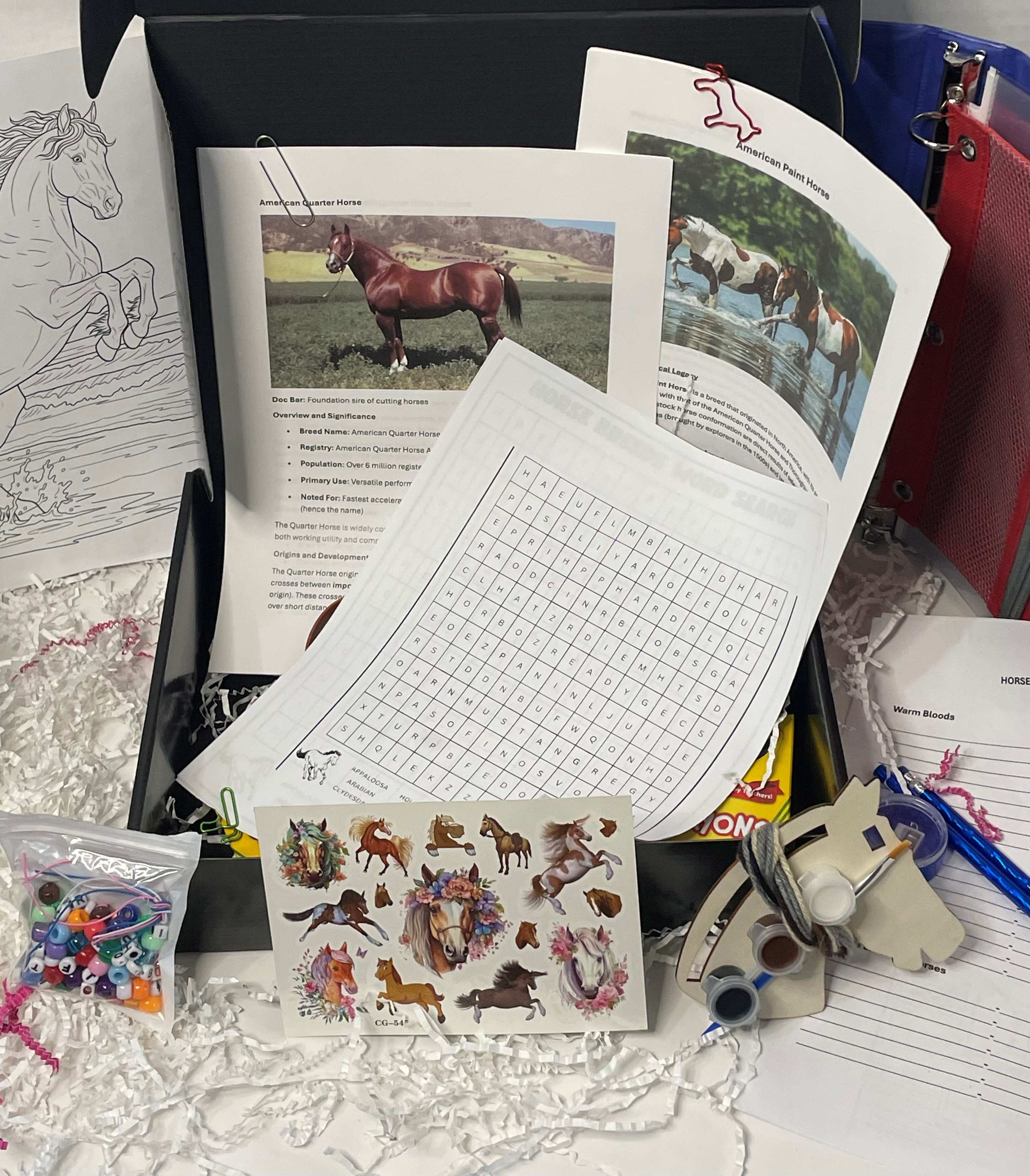 Pony Quest Club subscription box filled with horse-themed treasures
