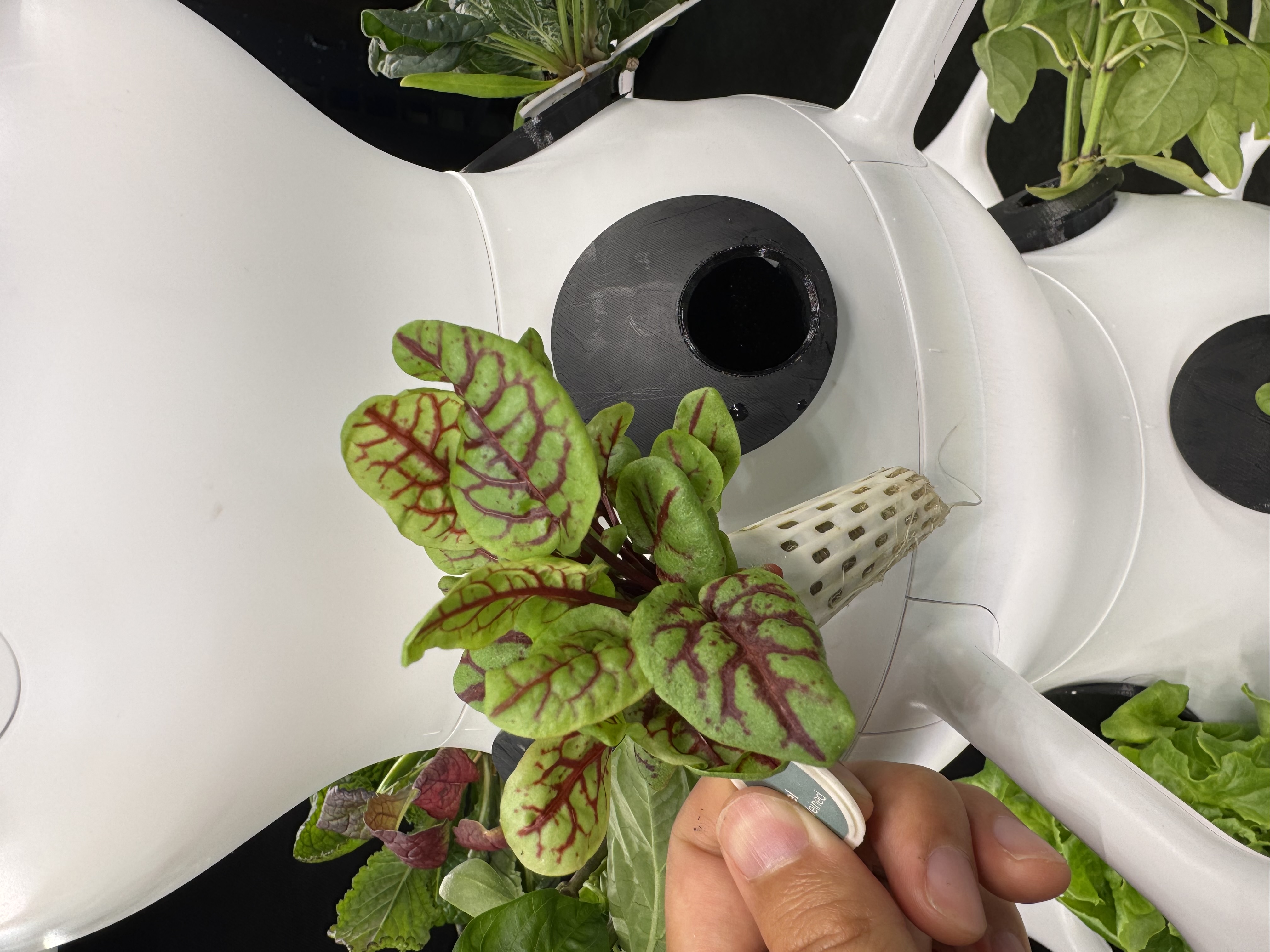 Open Garden upgrade kit in use