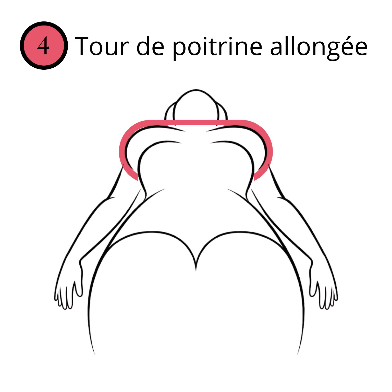 Schéma du tour de poitrine allongée