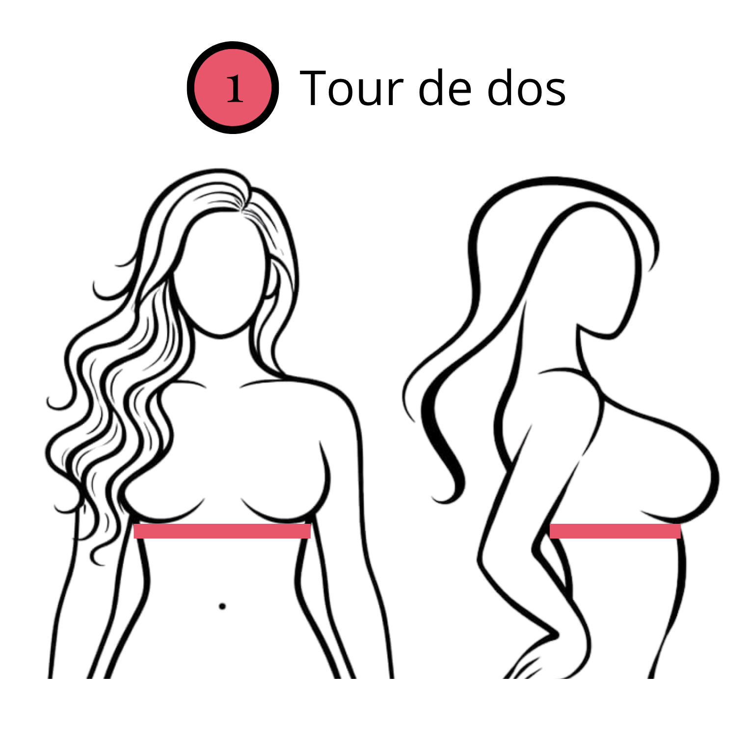 Schéma du tour de dos