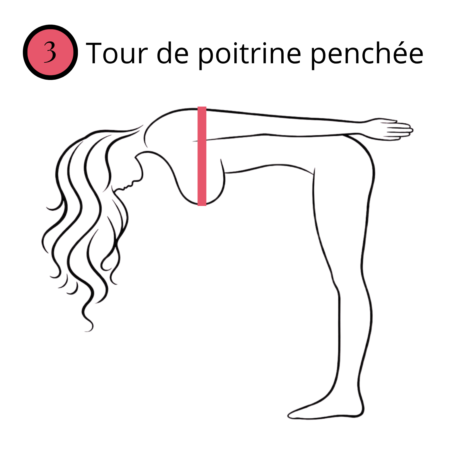 Schéma du tour de poitrine penchée